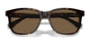 Ralph RA5313U Sunglasses | Size 56 / Shiny Dark Havana / Brown (3N 14.5%) №500373