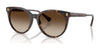 Ralph RA5331U Sunglasses | Size 55 / Shiny Dark Havana / Brown Gradient (3N 16%) №500313