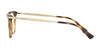 Ralph RA7098 Eyeglasses | Size 52 / Shiny Dark Havana №5003