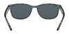 Ray-Ban RB2184 Sunglasses | Size 57 / Striped Blue Grey №1252R5 / Blue (3N 11.20%)