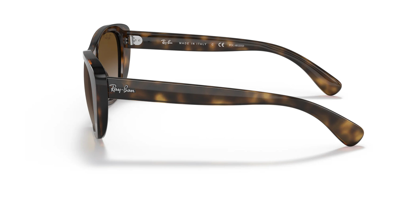 Ray-Ban RB4227 Sunglasses | Size 55 Ray-Ban RB4227 Sunglasses | Size 55