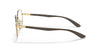 Ray-Ban RX6461 Eyeglasses | Size 49 / Silver №2501