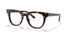 Ray-Ban METEOR RX5377 Eyeglasses / Havana №2012 / Size 52