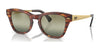 Ray-Ban RB0707SM Sunglasses / Striped Havana №954/G4 / Green (2N 36.5%) / Size 50