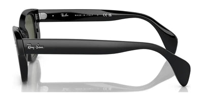 Ray-Ban RB0880S Sunglasses