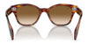 Ray-Ban RB0880S Sunglasses / Black №901/31 / Green (3N 13.2%) / Size 52