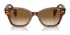 Ray-Ban RB0880S Sunglasses / Black №901/31 / Green (3N 13.2%) / Size 52