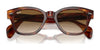 Ray-Ban RB0880S Sunglasses / Black №901/31 / Green (3N 13.2%) / Size 52