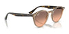 Ray-Ban RB2180 Sunglasses / Black №601/71 / Dark Green (3N 12.9%) / Size 49