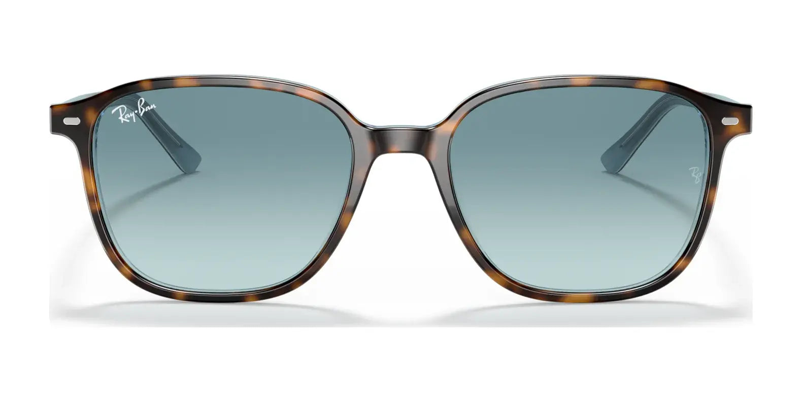 Ray-Ban LEONARD RB2193 Sunglasses Ray-Ban LEONARD RB2193 Sunglasses