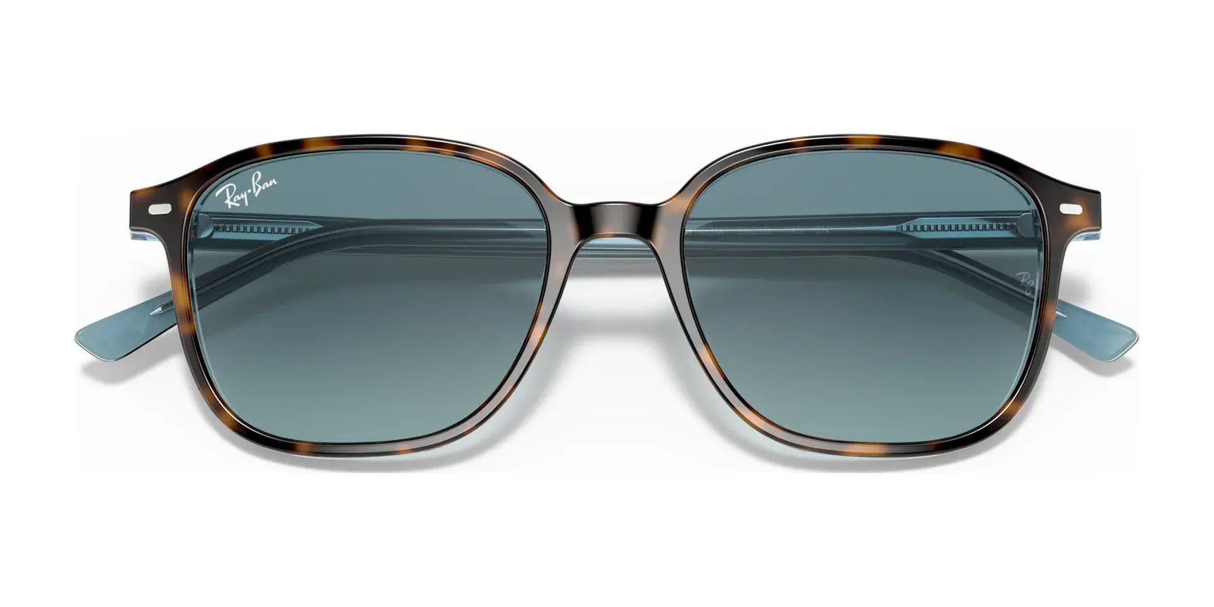 Ray-Ban LEONARD RB2193 Sunglasses Ray-Ban LEONARD RB2193 Sunglasses