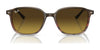 Ray-Ban LEONARD RB2193 Sunglasses / Black №901/31 / G-15 Green (3N 13.2%) / Size 53