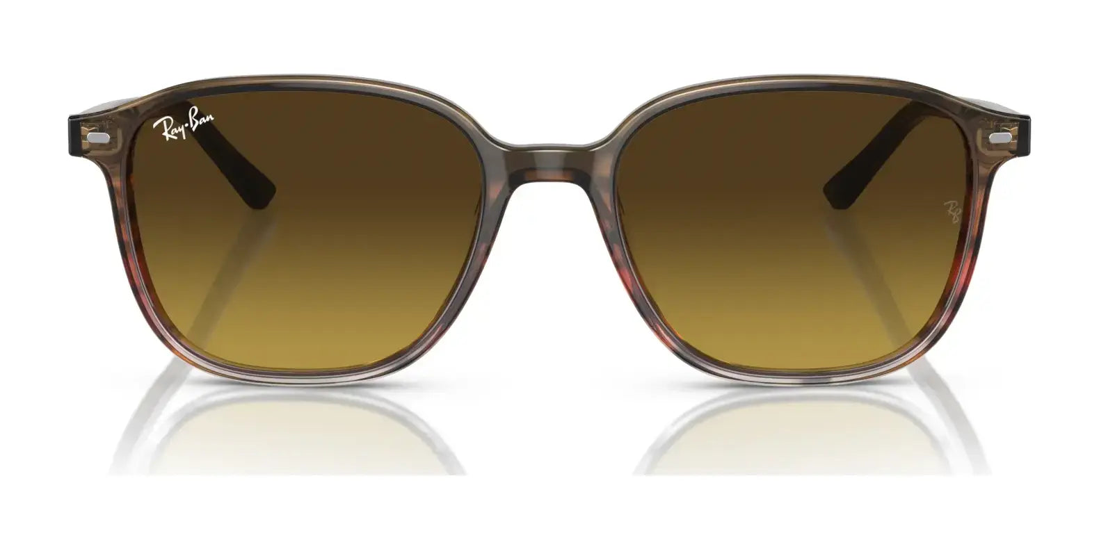 Ray-Ban LEONARD RB2193 Sunglasses Ray-Ban LEONARD RB2193 Sunglasses