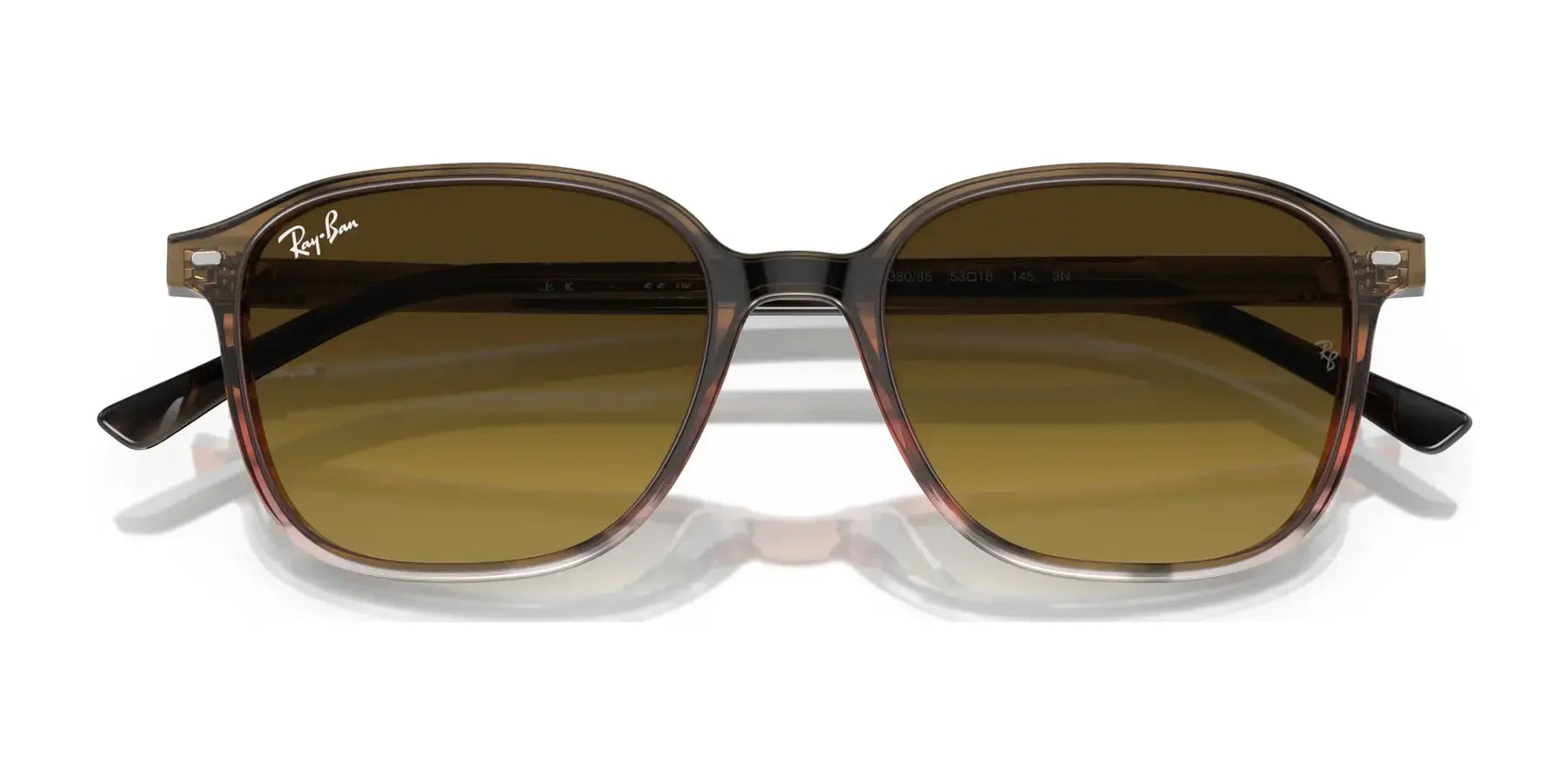 Ray-Ban LEONARD RB2193 Sunglasses Ray-Ban LEONARD RB2193 Sunglasses