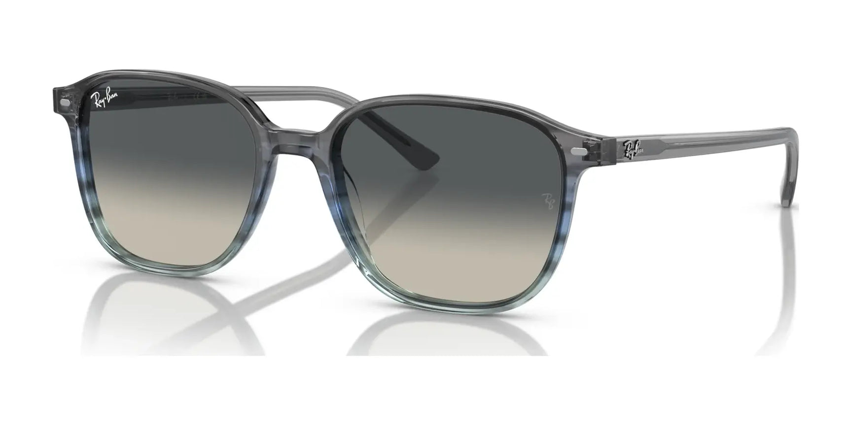 Ray-Ban LEONARD RB2193 Sunglasses Ray-Ban LEONARD RB2193 Sunglasses