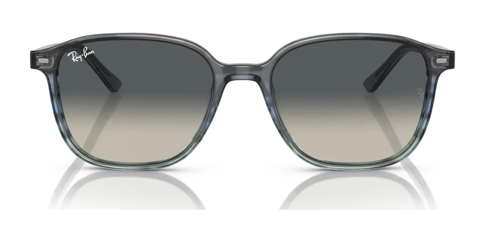 Ray-Ban LEONARD RB2193 Sunglasses Ray-Ban LEONARD RB2193 Sunglasses