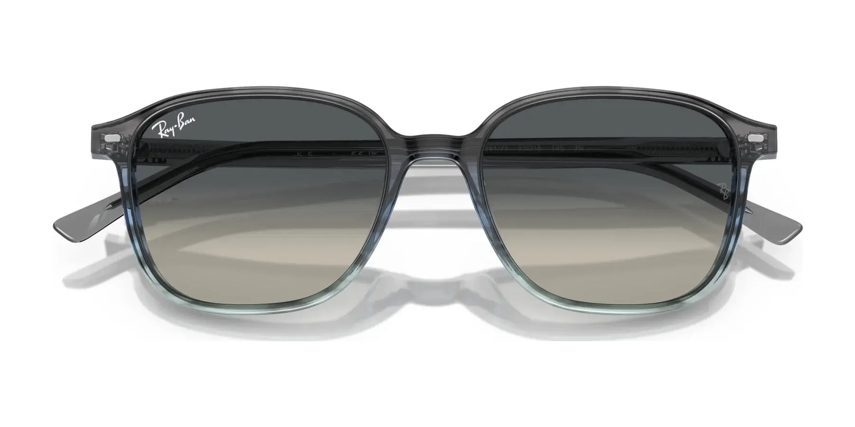 Ray-Ban LEONARD RB2193 Sunglasses Ray-Ban LEONARD RB2193 Sunglasses