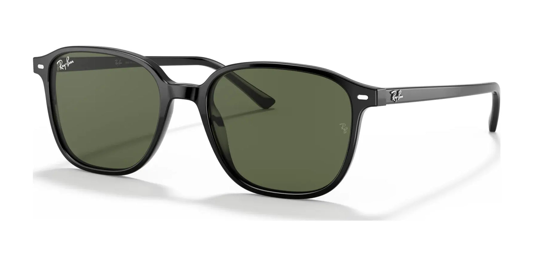 Ray-Ban LEONARD RB2193 Sunglasses Black / G-15 Green Ray-Ban LEONARD RB2193 Sunglasses Black / G-15 Green