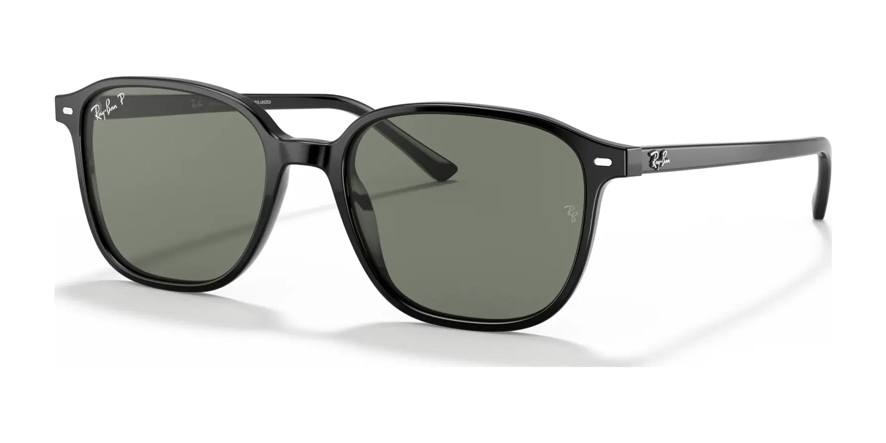 Ray-Ban LEONARD RB2193 Sunglasses Ray-Ban LEONARD RB2193 Sunglasses