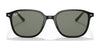 Ray-Ban LEONARD RB2193 Sunglasses / Black №901/31 / G-15 Green (3N 13.2%) / Size 53