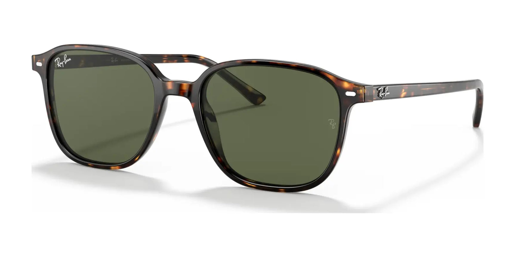 Ray-Ban LEONARD RB2193 Sunglasses Ray-Ban LEONARD RB2193 Sunglasses