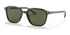 Ray-Ban LEONARD RB2193 Sunglasses / Tortoise №902/31 / G-15 Green (3N 13.2%) / Size 53