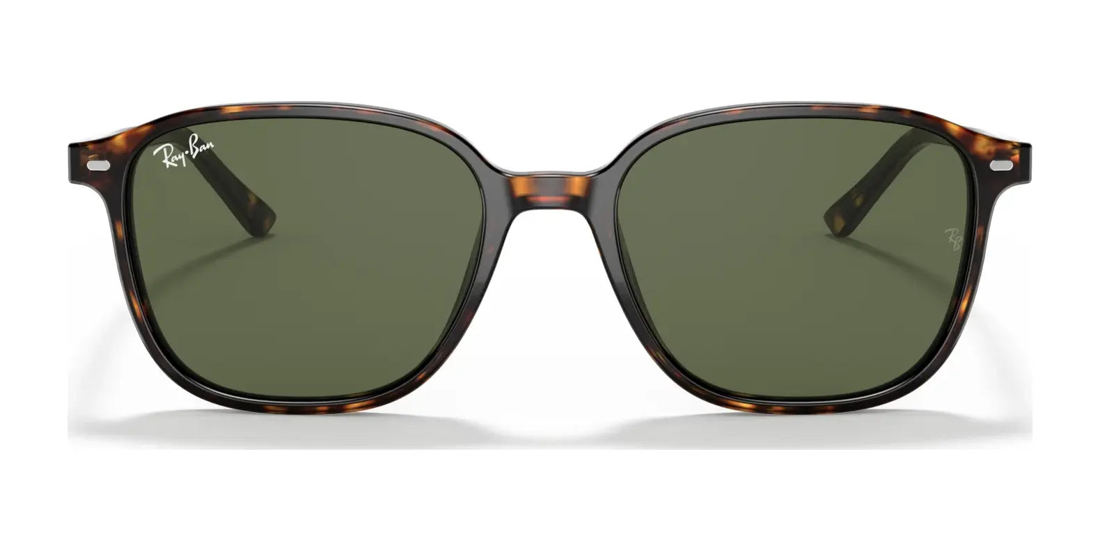 Ray-Ban LEONARD RB2193 Sunglasses Ray-Ban LEONARD RB2193 Sunglasses