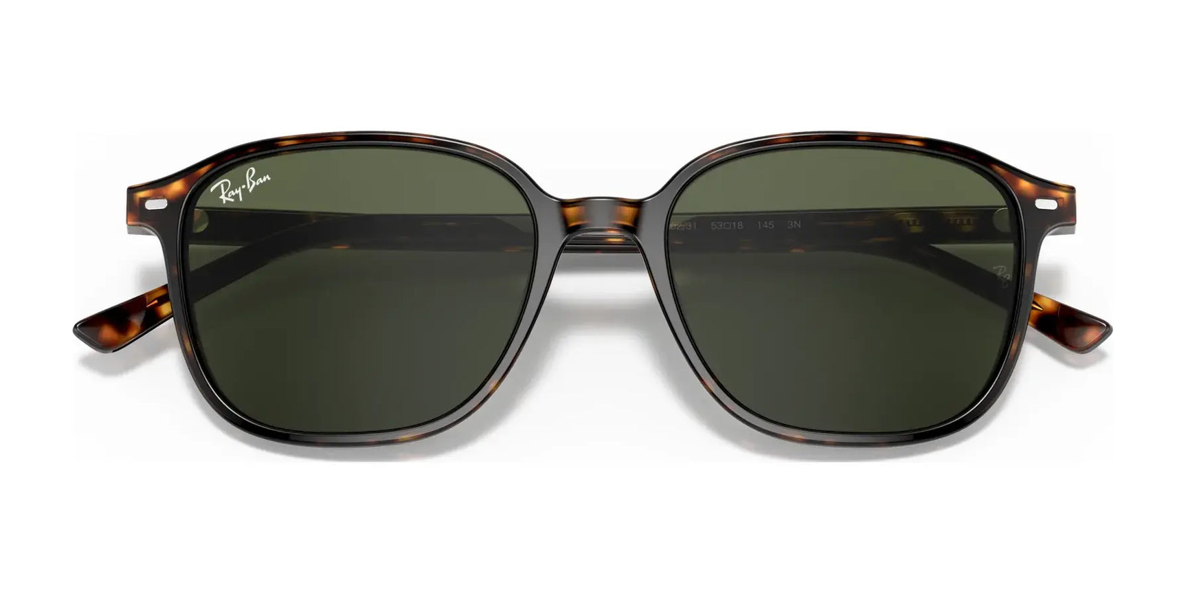 Ray-Ban LEONARD RB2193 Sunglasses Ray-Ban LEONARD RB2193 Sunglasses