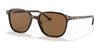 Ray-Ban LEONARD RB2193 Sunglasses / Tortoise №902/57 / B-15 Brown (Polarized) (3P 11.9%) / Size 53