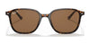 Ray-Ban LEONARD RB2193 Sunglasses / Black №901/31 / G-15 Green (3N 13.2%) / Size 53