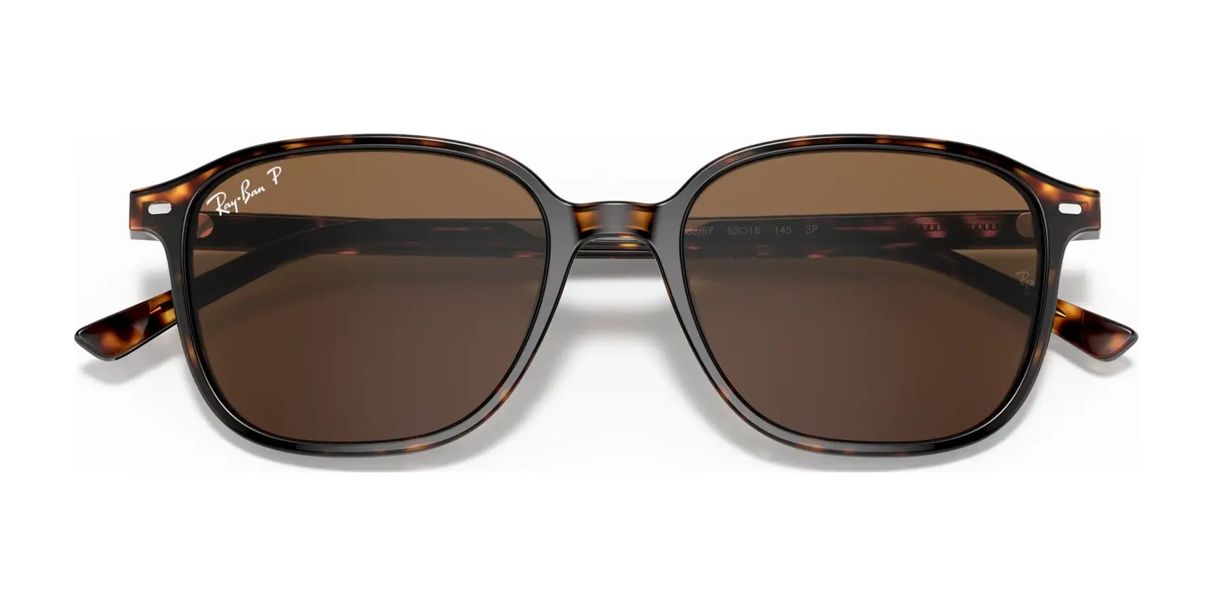 Ray-Ban LEONARD RB2193 Sunglasses Ray-Ban LEONARD RB2193 Sunglasses