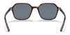 Ray-Ban JOHN RB2194 Sunglasses | Size 51 / Striped Havana №954/62 / Blue (2N 21.70%)