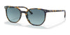 Ray-Ban ELLIOT RB2197 Sunglasses / Yellow & Blue Havana №13563M / Blue Gradient (2N 21%) / Size 52