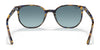 Ray-Ban ELLIOT RB2197 Sunglasses / Havana №902/33 / Brown (3N 14.6%) / Size 52