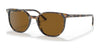 Ray-Ban ELLIOT RB2197 Sunglasses / Havana Brown Grey №135757 / B-15 Brown (Polarized) (3P 11.9%) / Size 52