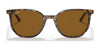Ray-Ban ELLIOT RB2197 Sunglasses / Havana №902/33 / Brown (3N 14.6%) / Size 52