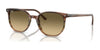Ray-Ban ELLIOT RB2197 Sunglasses / Striped Brown & Green №13920A / Brown Black (3N 14%) / Size 52