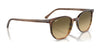 Ray-Ban ELLIOT RB2197 Sunglasses / Havana №902/33 / Brown (3N 14.6%) / Size 52