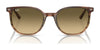 Ray-Ban ELLIOT RB2197F Sunglasses | Size 54 / Black №901/48 / Black (Polarized) (3P 11.40%)