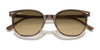 Ray-Ban ELLIOT RB2197F Sunglasses | Size 54 / Black №901/48 / Black (Polarized) (3P 11.40%)