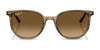 Ray-Ban ELLIOT RB2197F Sunglasses | Size 54 / Black №901/48 / Black (Polarized) (3P 11.40%)
