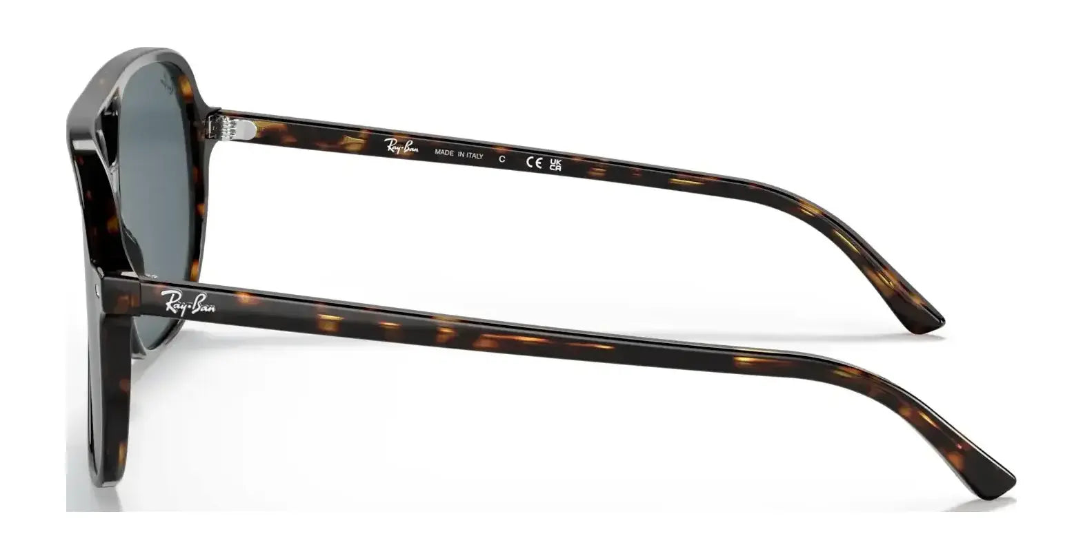 Ray-Ban BILL RB2198 Sunglasses Ray-Ban BILL RB2198 Sunglasses