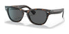 Ray-Ban LARAMIE RB2201 Sunglasses | Size 54 / Tortoise №902/B1 / Dark Grey (3N 15.30%)