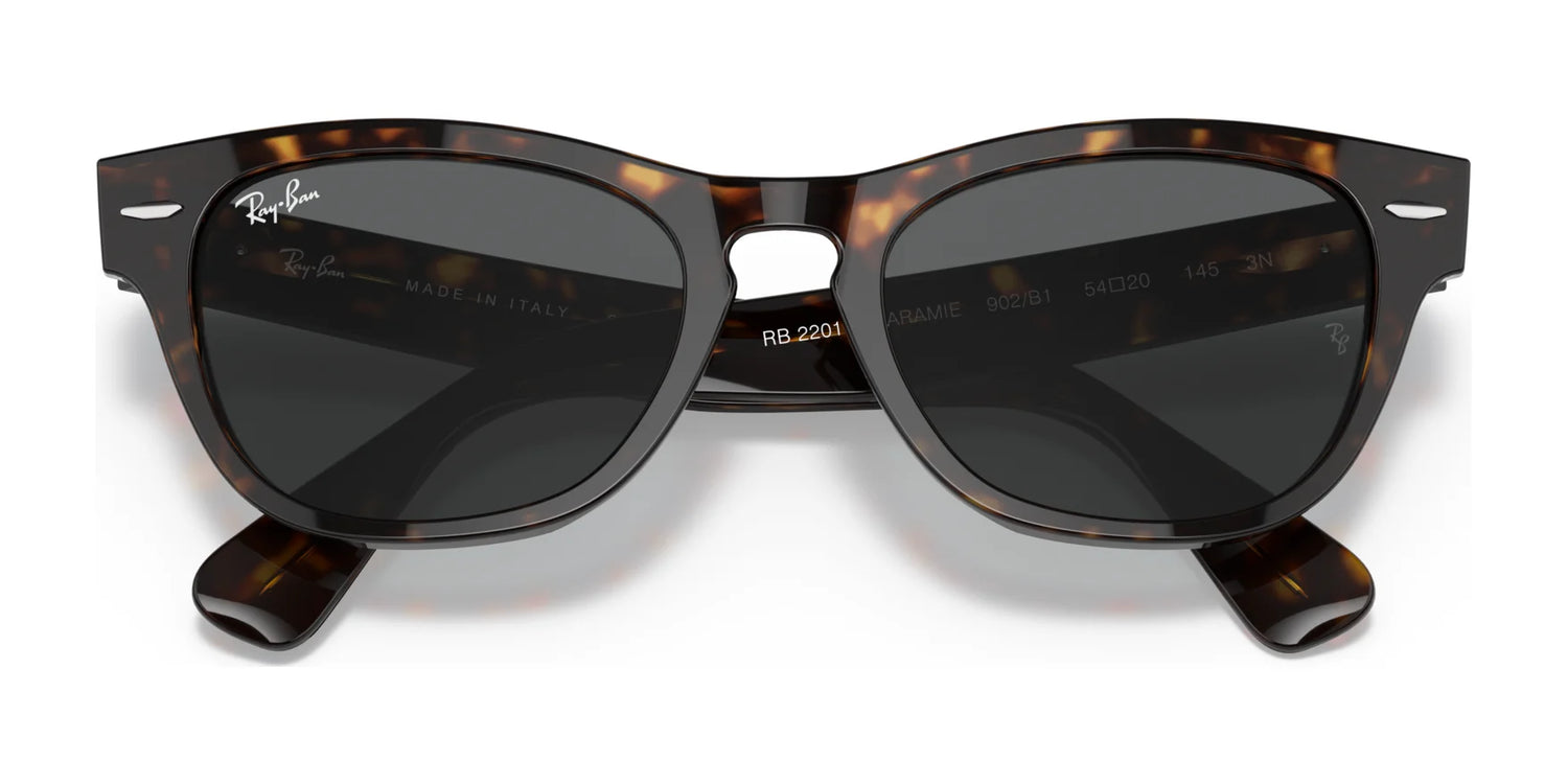 Ray-Ban LARAMIE RB2201 Sunglasses | Size 54 Ray-Ban LARAMIE RB2201 Sunglasses | Size 54
