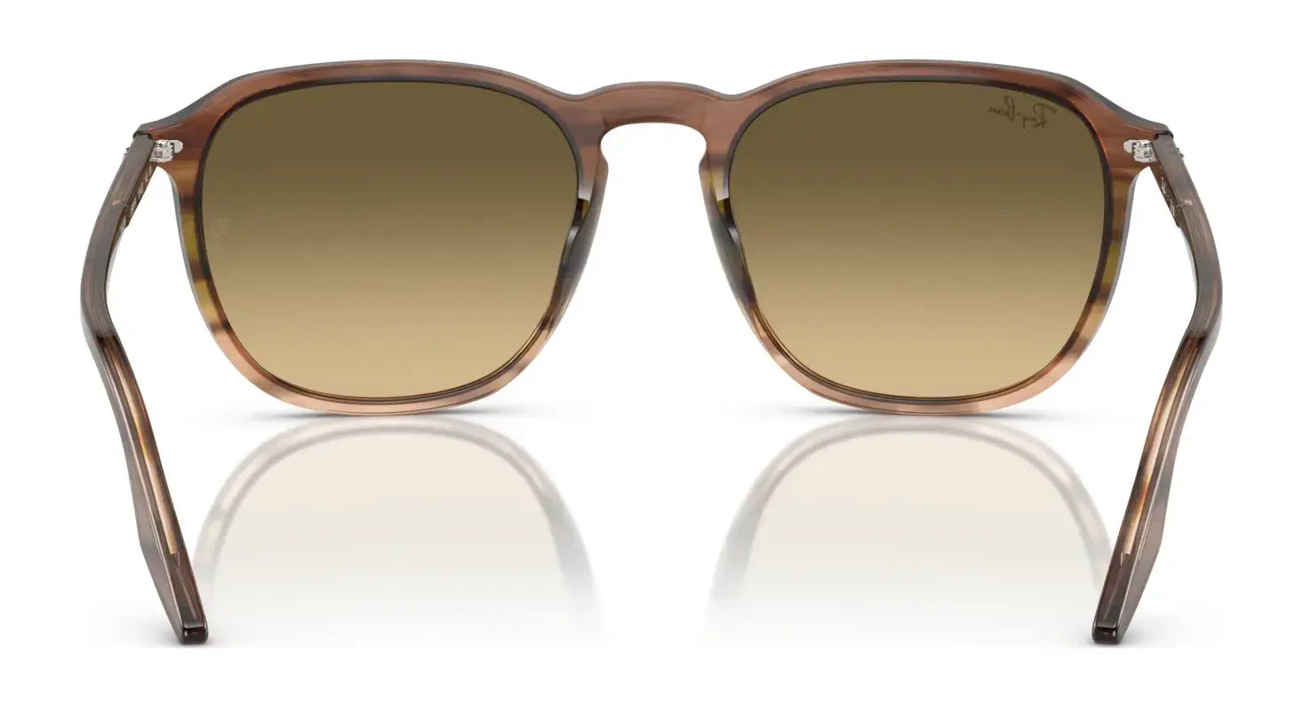 Ray-Ban RB2203 Sunglasses Ray-Ban RB2203 Sunglasses