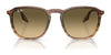Ray-Ban RB2203 Sunglasses / Black №901/32 / Light Grey (2N 33.3%) / Size 52