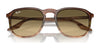 Ray-Ban RB2203 Sunglasses / Black №901/32 / Light Grey (2N 33.3%) / Size 52