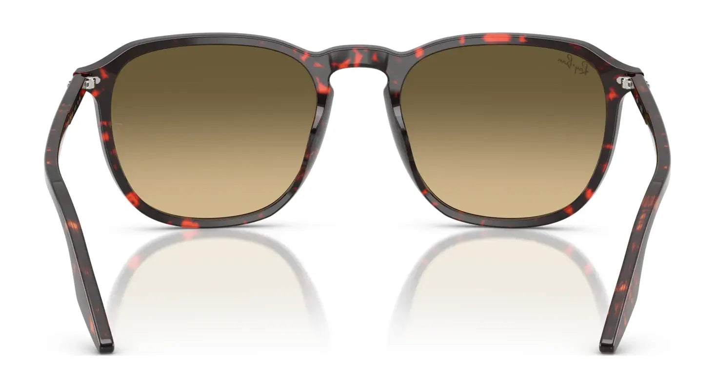 Ray-Ban RB2203 Sunglasses Ray-Ban RB2203 Sunglasses