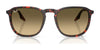 Ray-Ban RB2203 Sunglasses / Black №901/32 / Light Grey (2N 33.3%) / Size 52