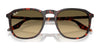 Ray-Ban RB2203 Sunglasses / Black №901/32 / Light Grey (2N 33.3%) / Size 52